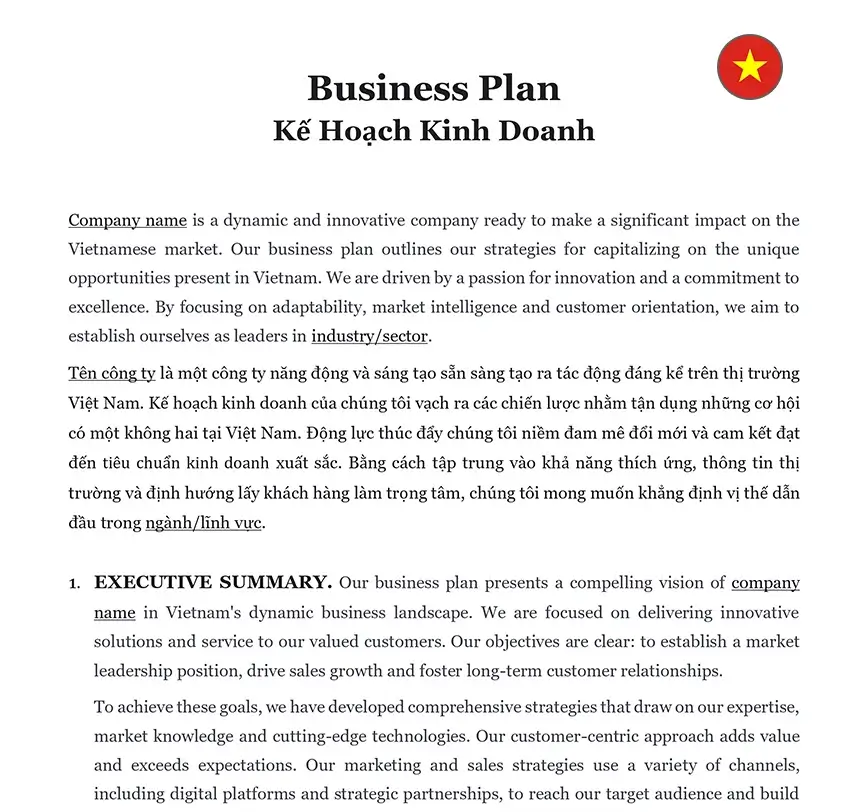 Business plan Vietnam