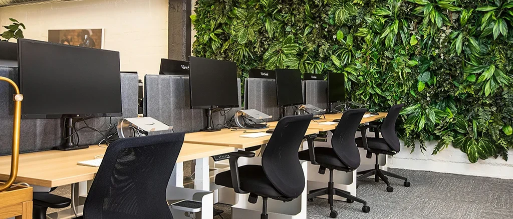 Company registration licensing Vietnam