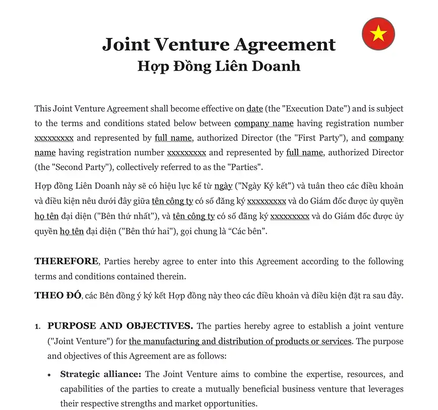 Joint venture agreement Vietnam