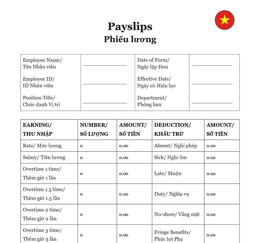 Payslip form Vietnam